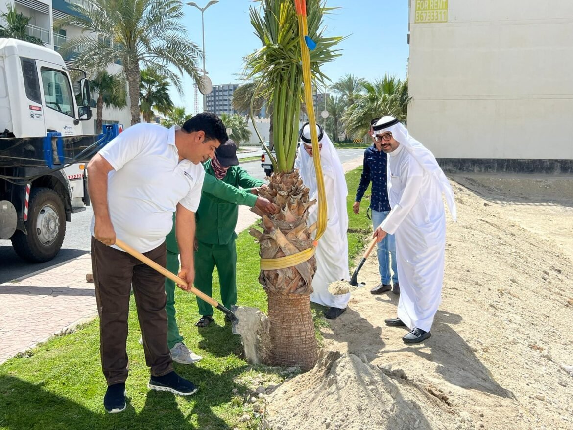 زرع 200 نخلة جديدة في "أمواج" بدعم من "مركز الصائغ الزراعي"‏